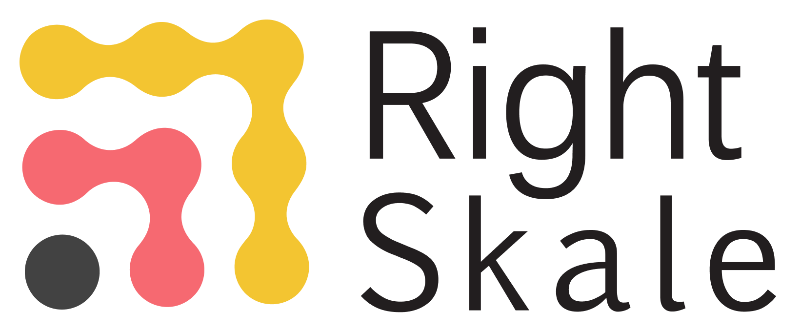 Right Skale Inc logo